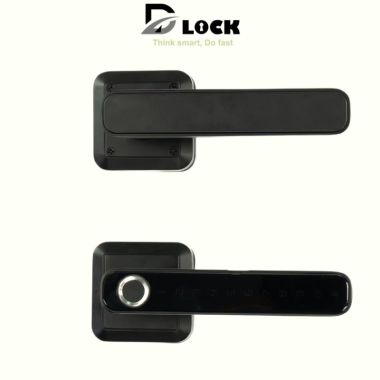 Khóa vân tay điện tử Dlock - DLF4