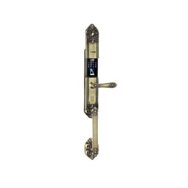 Khóa vân tay đại sảnh DS101- Rêu