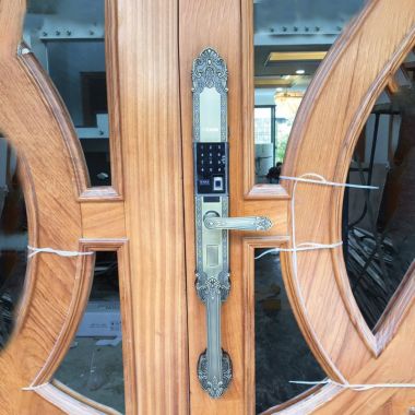 Khóa vân tay đại sảnh DS101- Rêu