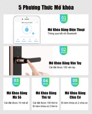 Khóa cửa vân tay 5 in 1 laffer LC06