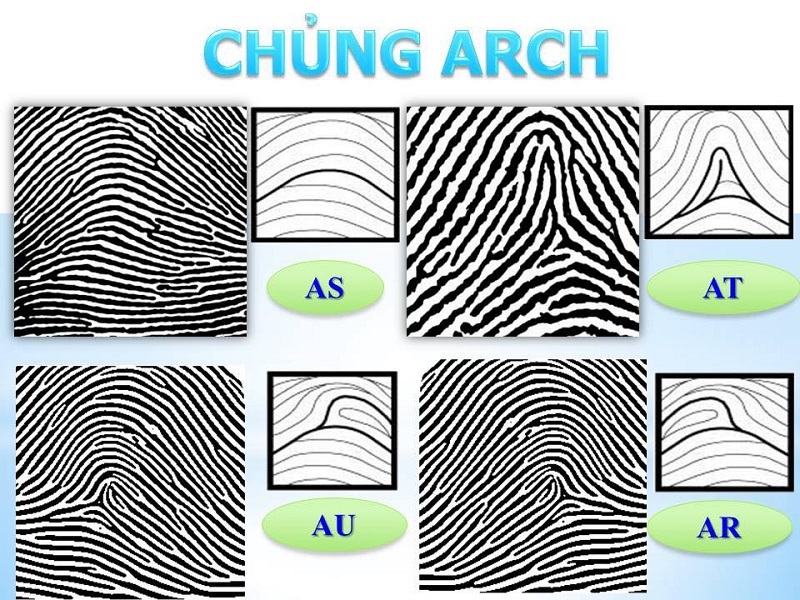 Nhận diện các chủng vân tay và ý nghĩa của chúng