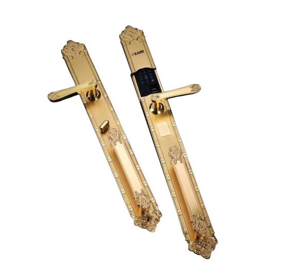 Khóa Vân Tay Đại Sảnh DS102-Vàng