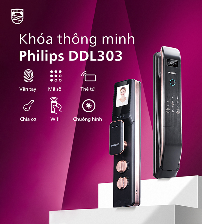 philips ddl303